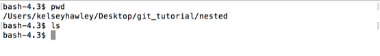terminal ls nested