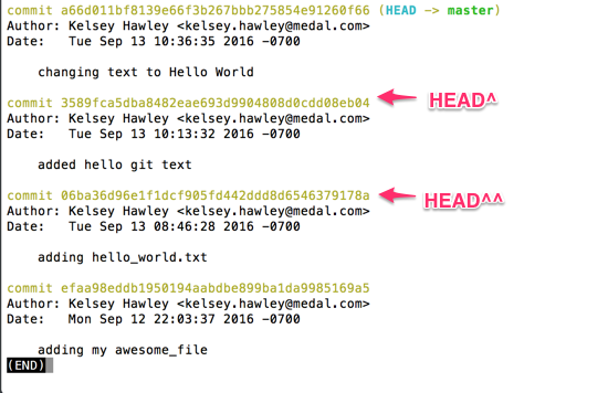 HEAD^ examples