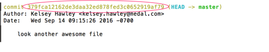 another_awesome_file commit hash