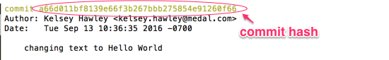 commit hash