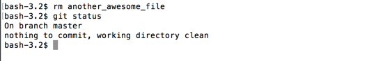 remove another_awesome_file