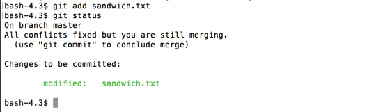 git add resolved conflict