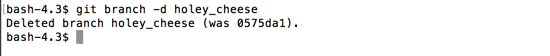 git branch -d holey_cheese