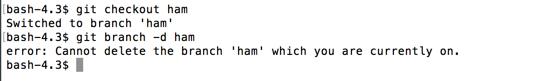 git branch delete warning