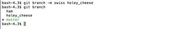 git branch -m swiss holey_cheese