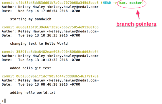 git log ham and pointers
