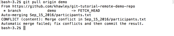 git pull conflict