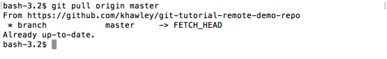 git pull origin master
